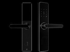 青松沃德-Wi-Fi 指紋鎖家用防盜門智能門鎖密碼鎖刷卡電子鎖 防磁干擾 防撬 L9-WT (不含鎖體，鎖體需另購）